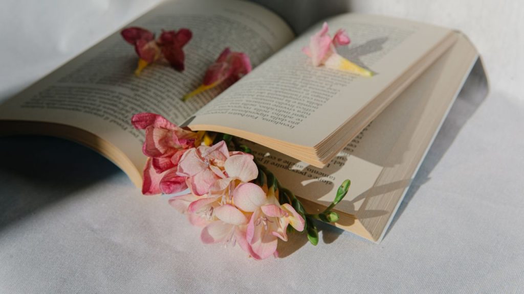 Opened book with flowers between the pages