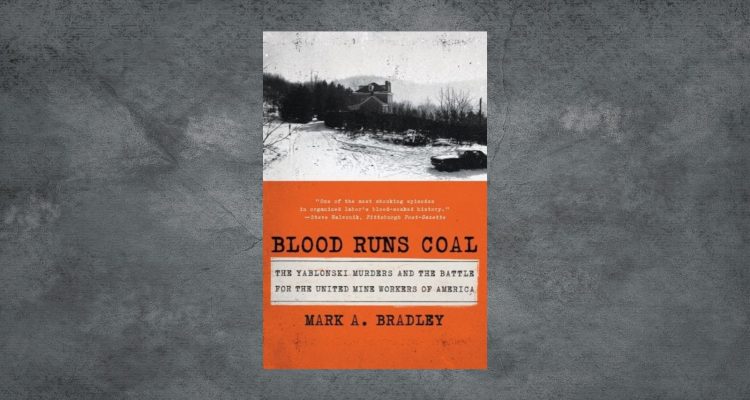 Cillian Murphy to Star in Sensational Blood Runs Coal Adaptation