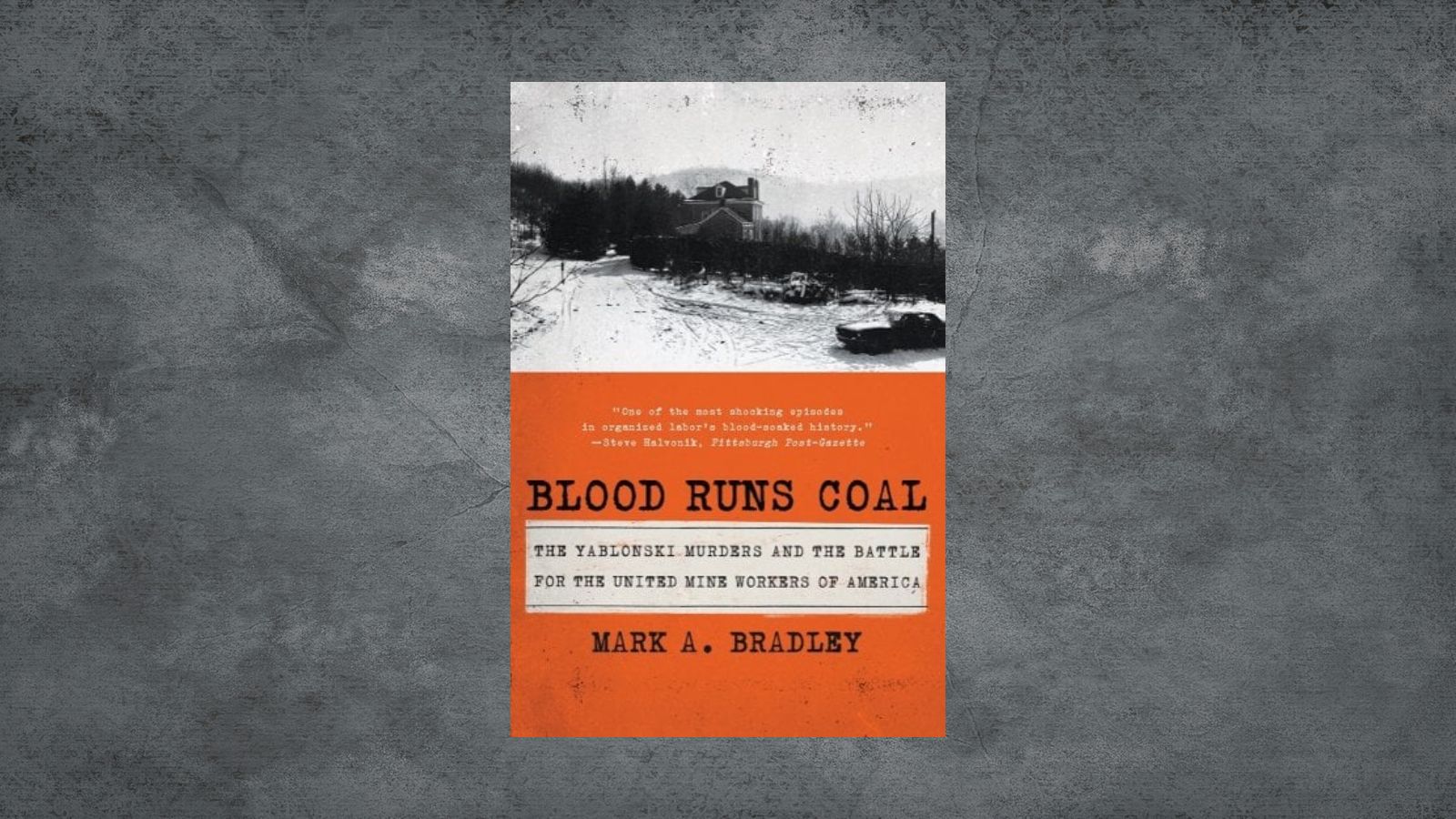 Cillian Murphy to Star in Sensational Blood Runs Coal Adaptation - Bookstr