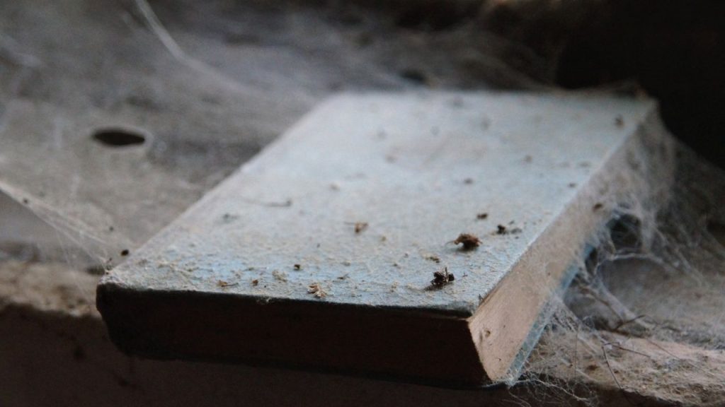 Book coverd in dirt and spiderwebs