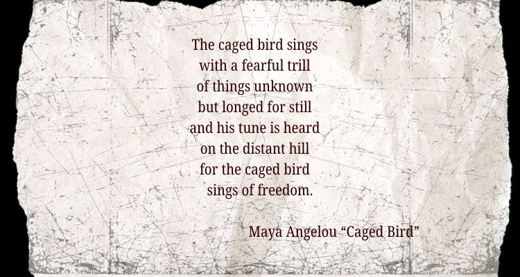 Words from Maya Angelou's "Caged Bird" in reddish black sit in the center of scribbled off-white paper set against a torn, crumpled paper on a black background.