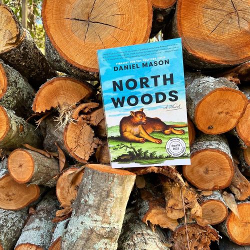 North Woods by Daniel Woods placed on multiple cut tree trunks in the woods.