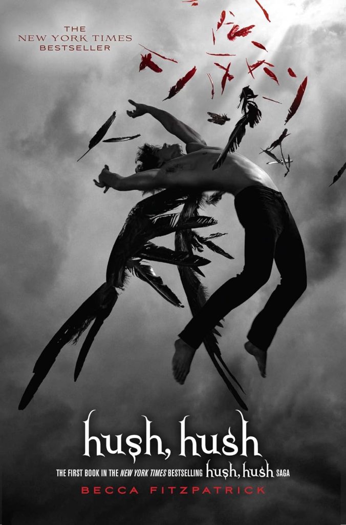 Hush, Hush by Becca Fitzpatrick. Cover of a fallen angel reaching to the heavens.