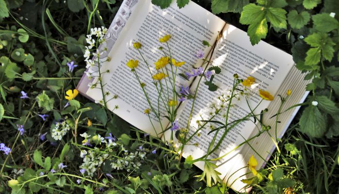 An open book lying in the grass covered by purple and yellow flowers.