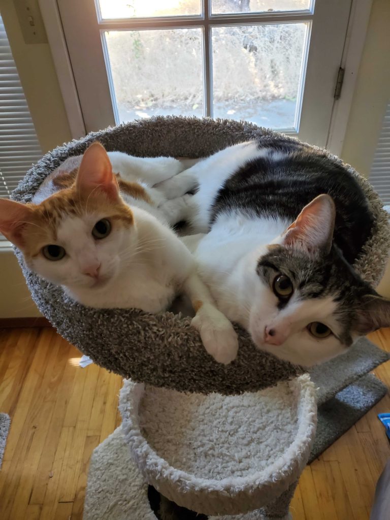Hazel and Griffith