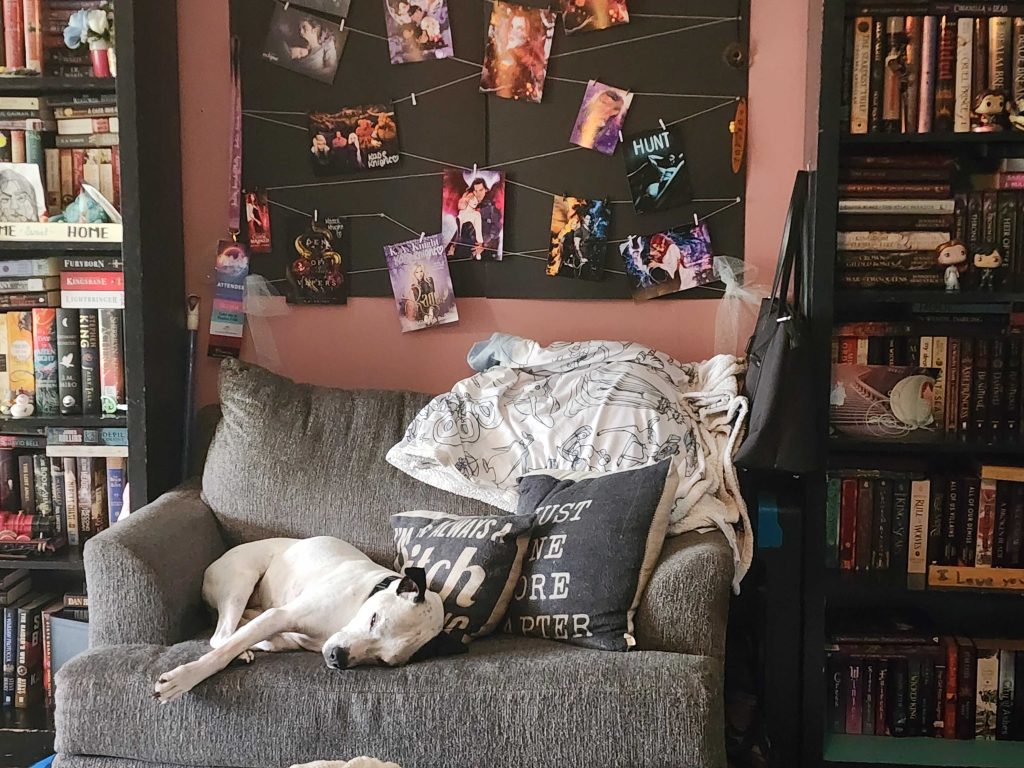 Odyssey, Pitbull/Pointer Mix - Our Spoiled Princess