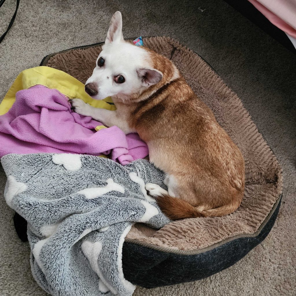Prince - A Stubborn Old Man