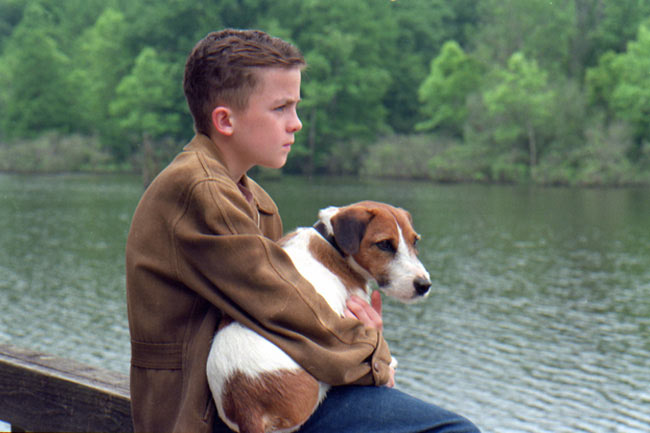 Young Willie embraces his loyal companion Skip by the lakeside, gazing pensively into the distance, showcasing their enduring bond and tranquil connection.