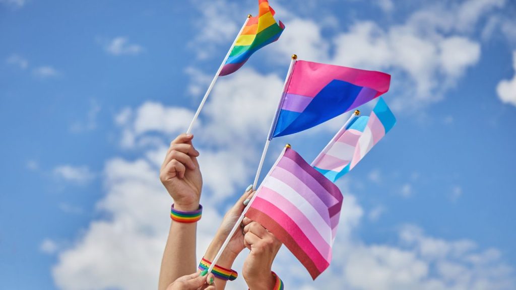 Hands waving various LGBTQ+ flags in front of a blue sky.