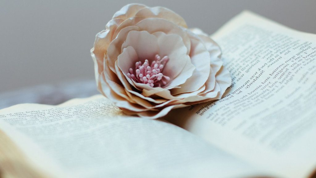 Bloomed flower sitting on top of an opened chapter book.