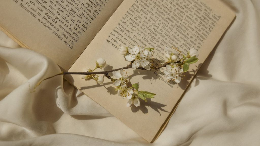opened book on a blanket and a stem of flowers laying on top of the pages