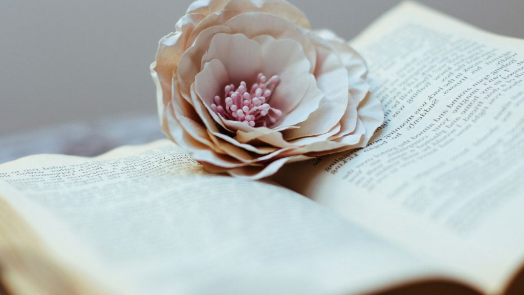 Open book with a flower resting on the pages