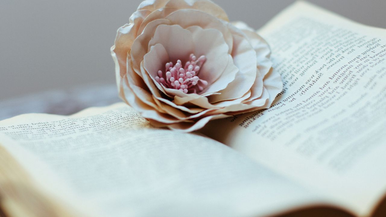 Ink Unleashed: How a Quirky Event Turned Bookworms into Literary Titans