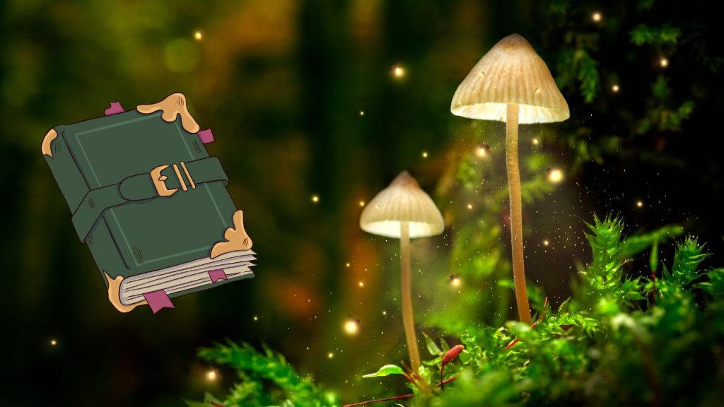 Mushrooms with fantasy book graphic.