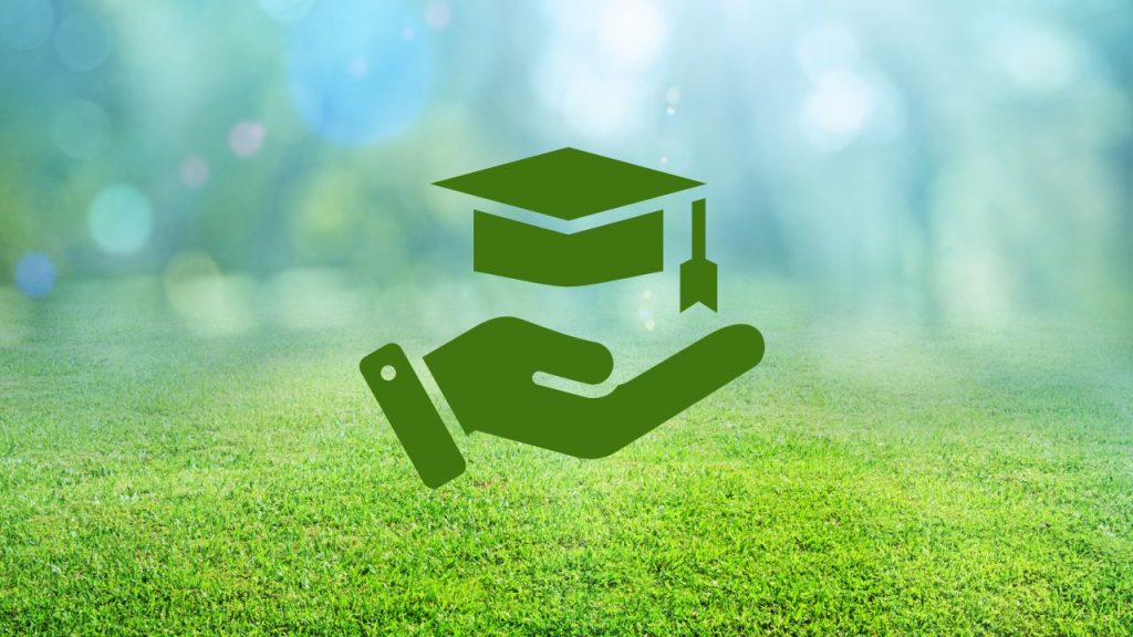 Hand holding graduation cap in nature.