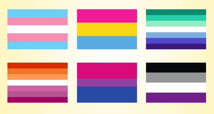 Trans flag, pansexual flag, trans inclusive gay mens flag, lesbian flag, bisexual flag, asexual pride flag.