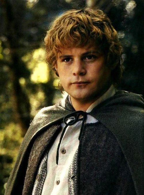 Samwise Gamgee looking off to the distance.