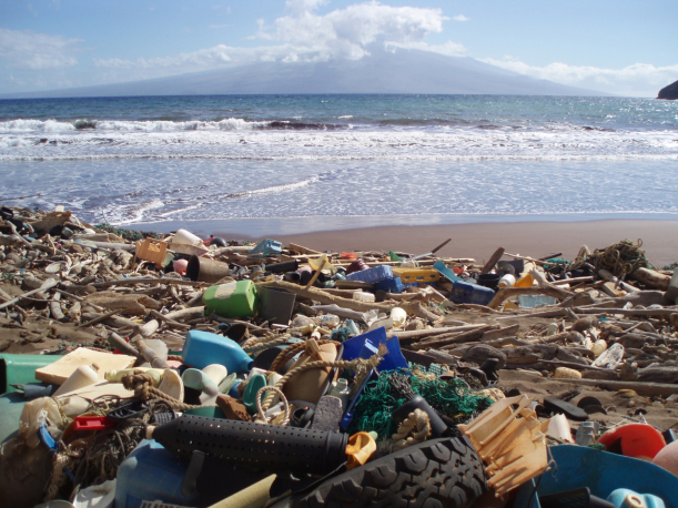 An ocean beach with the sea in the background and a zoom-in on trash scattered on the beach.