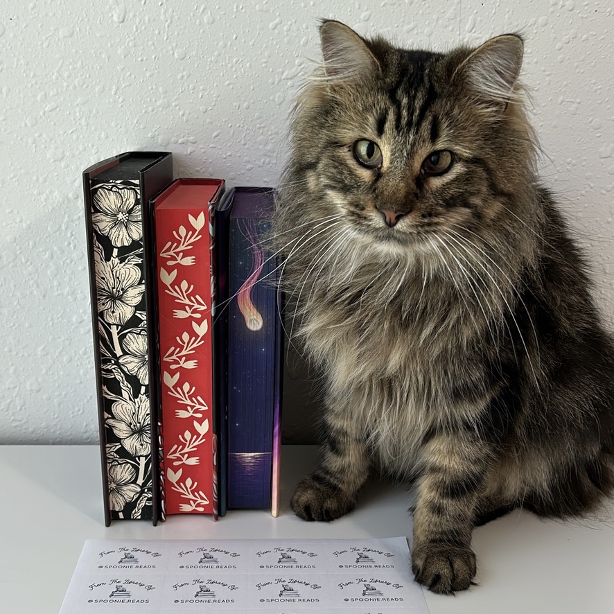 A cat sitting next to three upright books with sprayed edges.