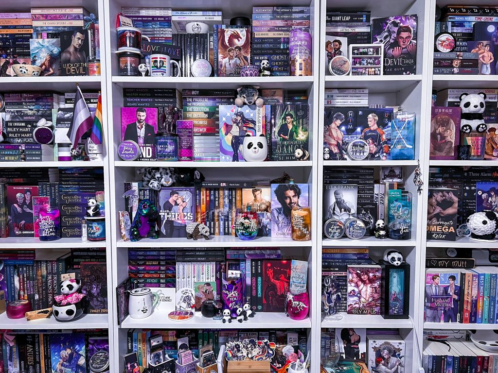View of Rachel's well-organized and highly dense bookshelf full of books and merch.