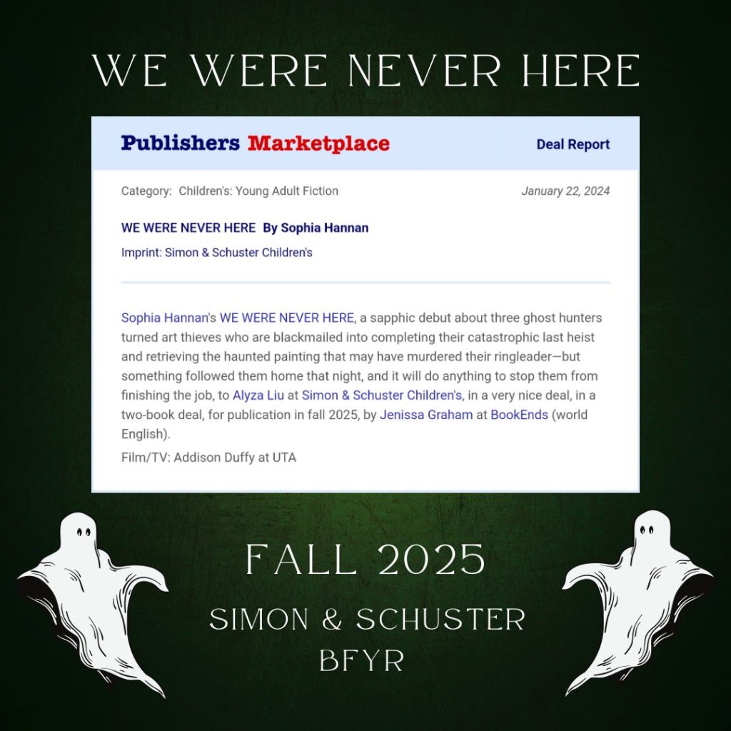 WE WERE NEVER HERE by Sophia Hannan