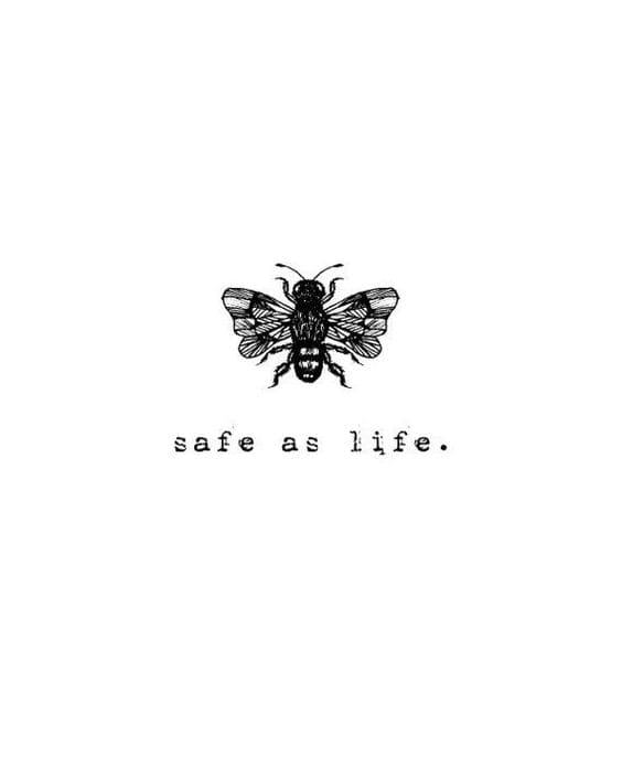A honeybee sketch with the phrase "safe as life" underneath.