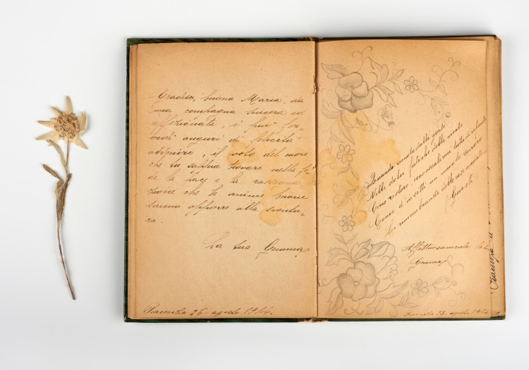 An old notebook with cursive writing in it lies open with a withered flower placed at its side.