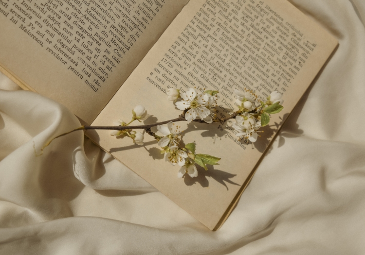 An old-ish looking book lies open on a piece of rumpled white fabric. A branch with white flowers blossoming on it is placed across one page.