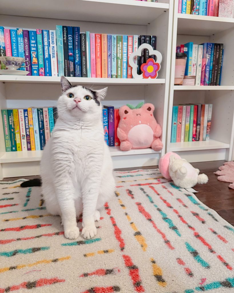 A white cat with splotches of black fur sits politely in front of a colorful bookshelf. This bookshelf also has a frog stuffed animal that is colored to look like a strawberry, and the cat is sitting on a rug with blue, red, and yellow squiggly lines on it.