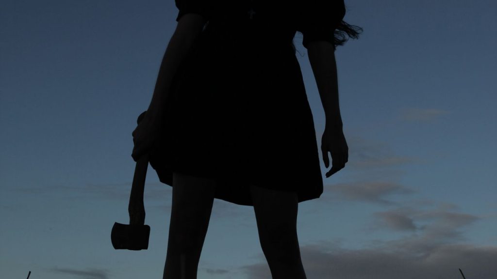 A black silhouette of a woman holding an axe against a dark blue sky. You can only see from her knees to her chest.