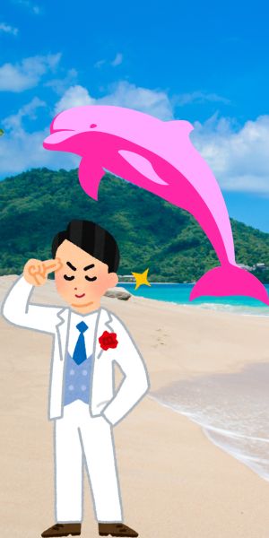 A stock photo of a beach with a pink graphic of a dolphin and a man in a white suit saluting.