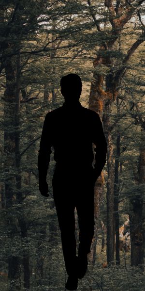 Stock photo of woods and a black silhouette of a very tall man walking forward.