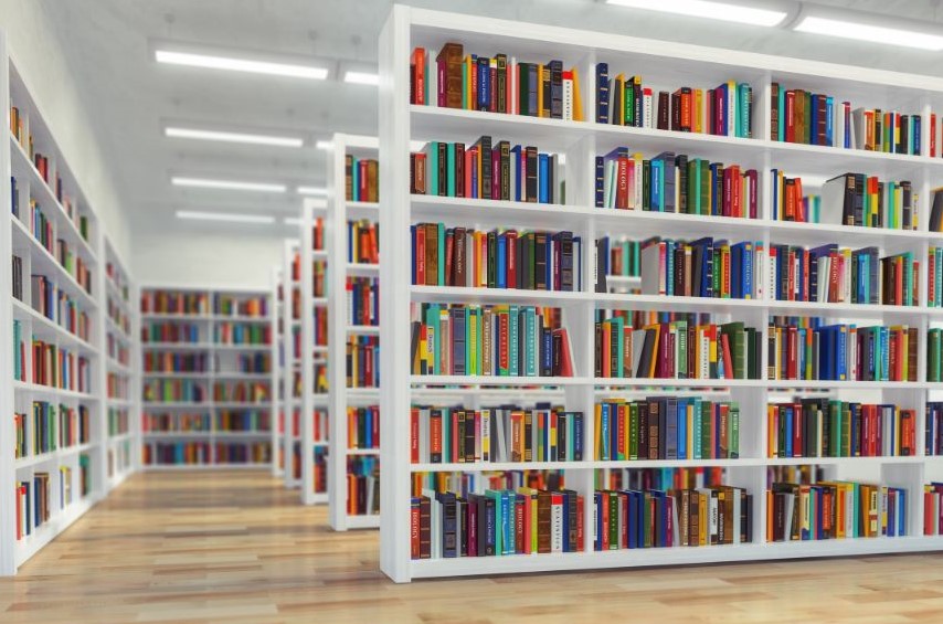 Bookshelves full of books in rows and against the wall