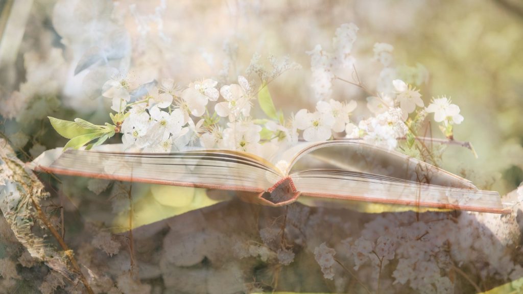 A book with flowers on the pages and a transparent image of flowers over the top.