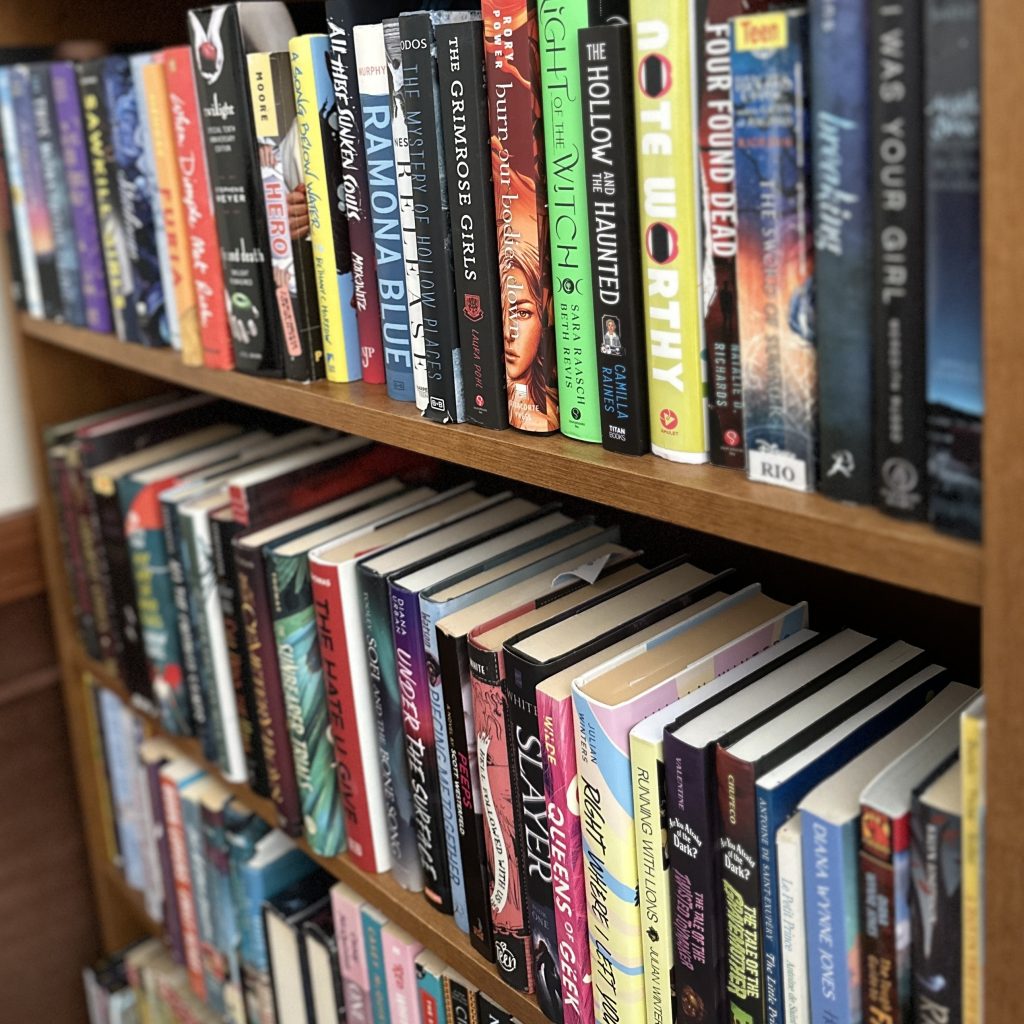 Close up photo, sans Kayla, of Kayla's bookshelf.