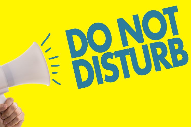 Yellow picture, Hand holding a megaphone on the left side. In big, bold letters it says "Do Not Disturb" in the centre.