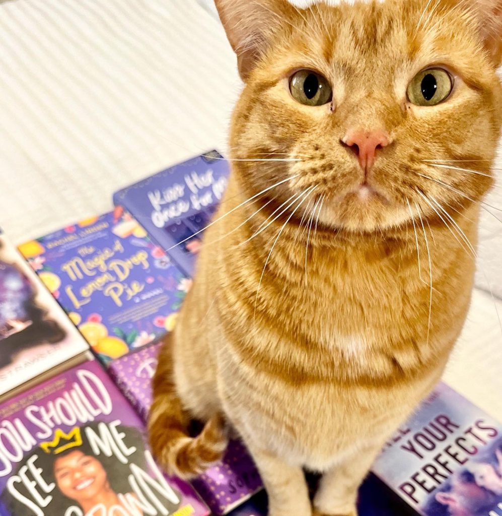 Ralphie, an orange cat, sitting on a pile of purple books.