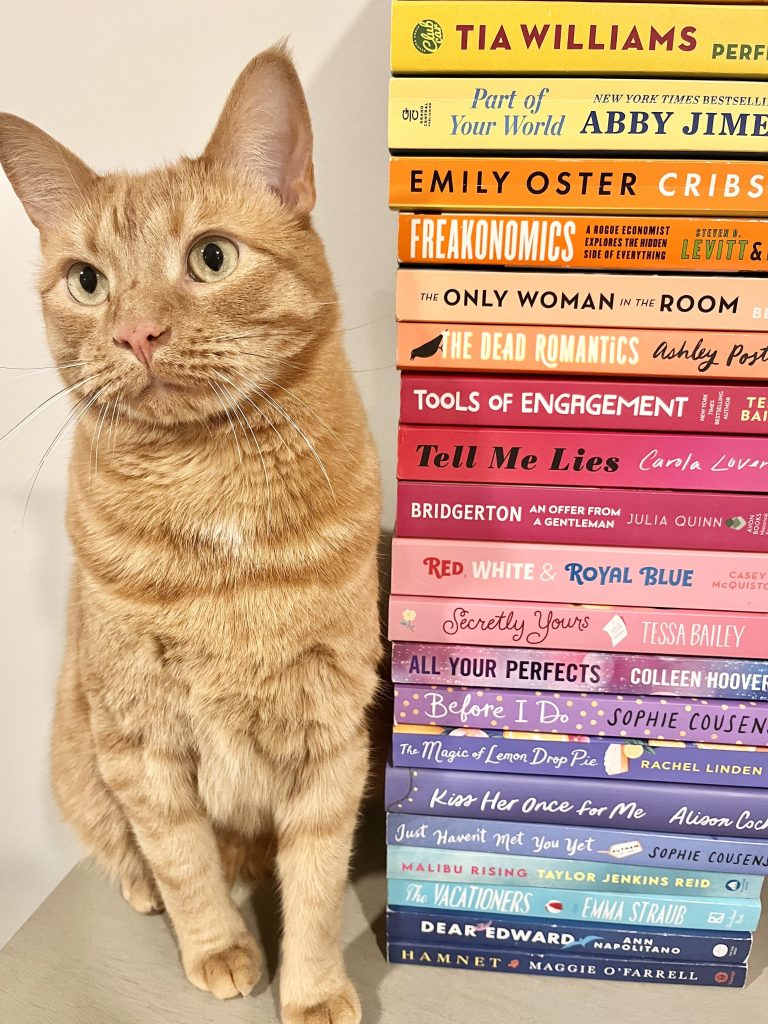 Ralphie, an orange cat sitting next to a pile of rainbow colored books.