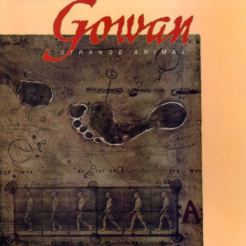 Strange Animal by Gowan album cover. A dark brown image of scientific illustrations including a human foot and a series of depictions of human evolution is held over an orange background. Above the image, large red text reads "Gowan", followed by smaller white text that reads "Strange Animal".