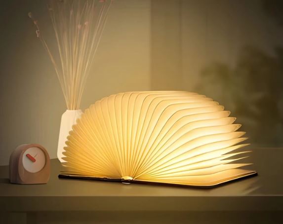 Book pages sprawled open, illuminated by light.