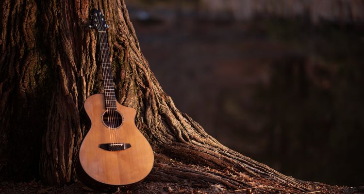 An acoustic guitar leans against the roots and trunk of a large tree, with an out-of-focus natural area in the background.
