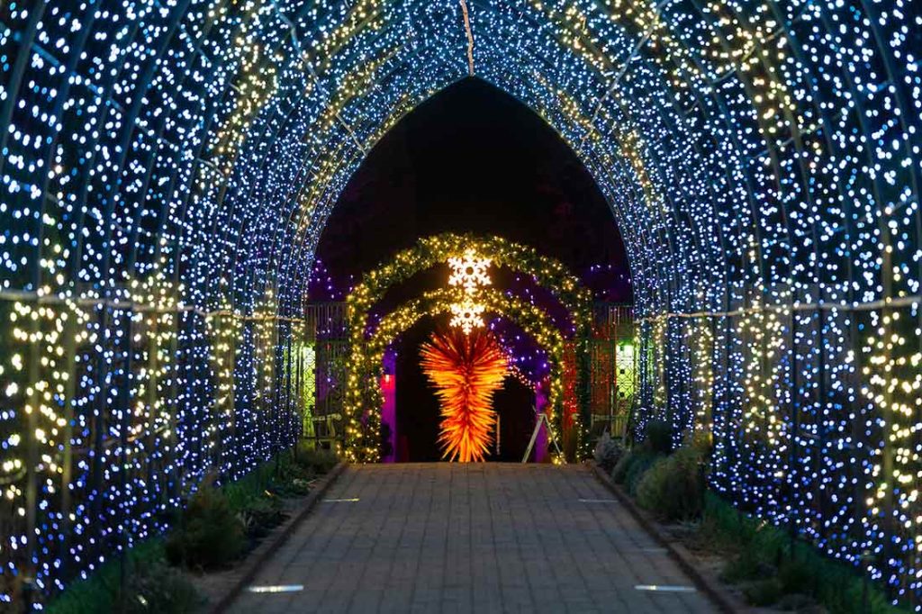 Denver Botanic Gardens Christmas event with a pathway filled with lights to walk under. In the distance, there are two star decorations.