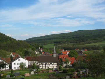 A distant shot of the German village Bergfreiheit with tall buildings surrounded by trees and greenery.