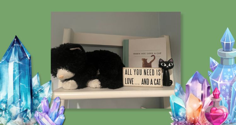 RK Ashwicks cat collection on her bookshelf