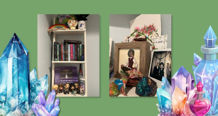 RK Ashwicks book shelves of Funko Pop and bookish merch collections