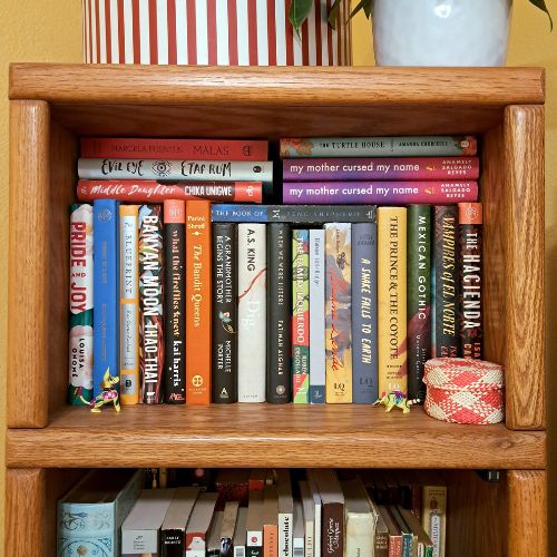 A close-up shot of the upper area of one of Anamely's bookshelves. There are little figurines and a potted plant too, besides loads of books.