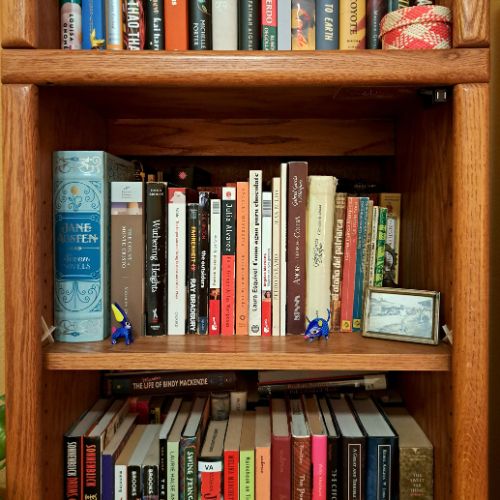 A close-up shot of the middle area of one of Anamely's bookshelves. There is a small black-and-white framed photo and more little figurines. And, of course, more books.
