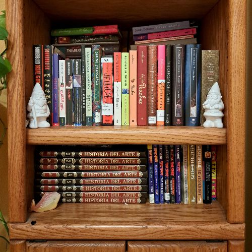 An up-close shot of the lower area of one of Anamely's bookshelves. There are gnome figurines and books.