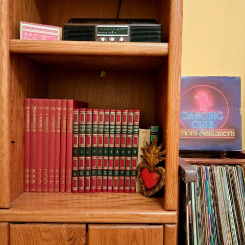 Another up-close shot of Anamely's bookshelf, this one showing an old radio, a vinyl collection, and more books.