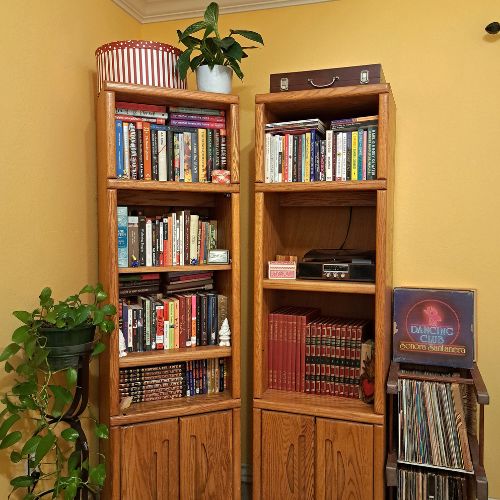 Photo of Anamely's bookshelves, but sans Anamely. You can also see her houseplants and vinyl collection.